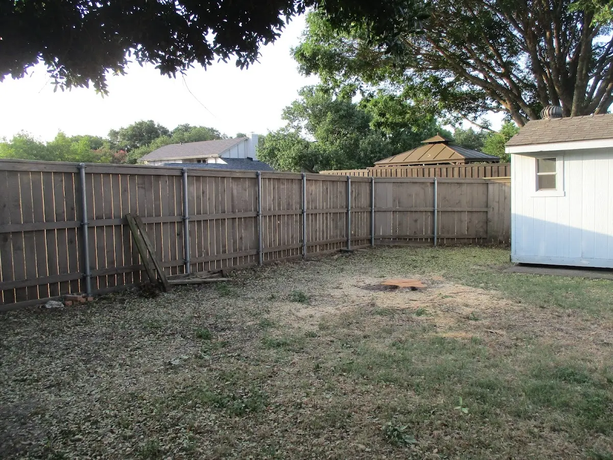 Cleared yard after professional tree removal in Hazlehurst