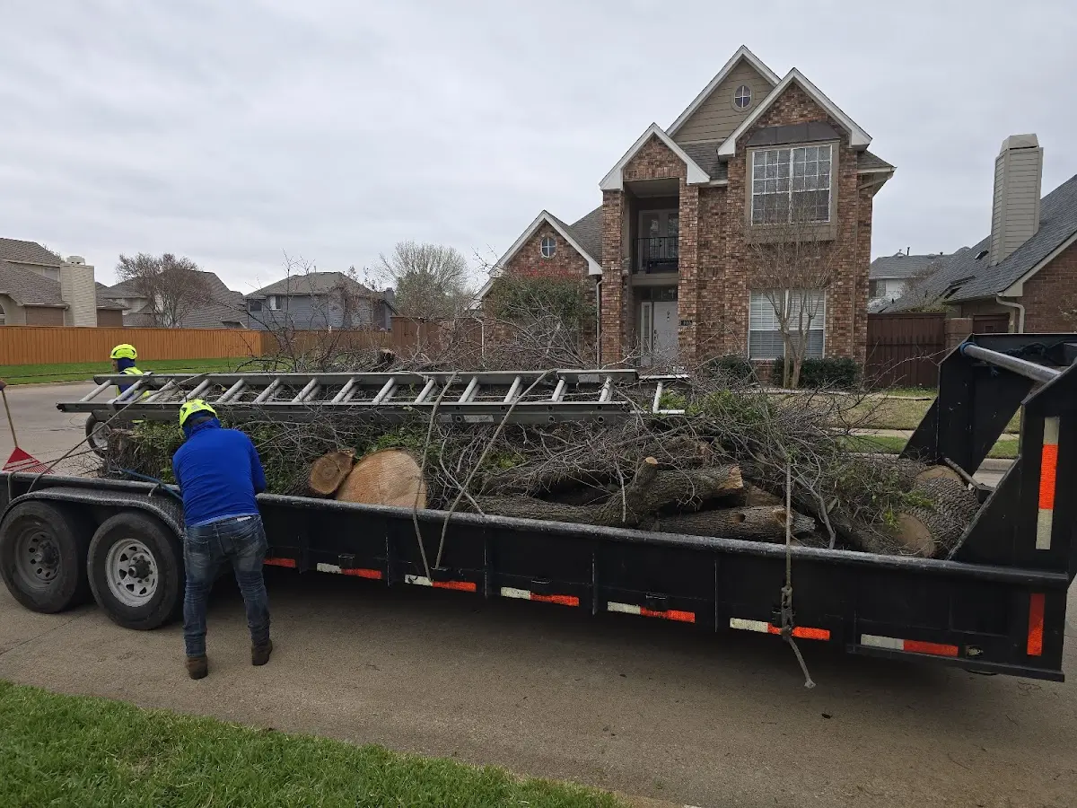 Expert Tree Removal with proper safety equipment in Hazlehurst